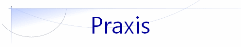 Praxis
